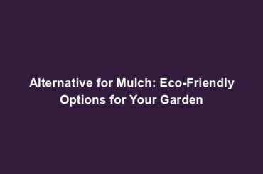 Alternative for Mulch: Eco-Friendly Options for Your Garden