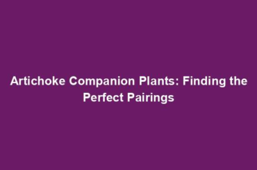 Artichoke Companion Plants: Finding the Perfect Pairings