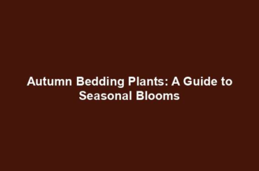 Autumn Bedding Plants: A Guide to Seasonal Blooms