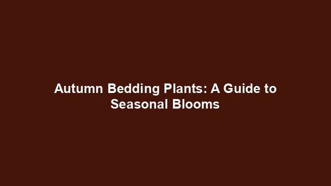 Autumn Bedding Plants: A Guide to Seasonal Blooms