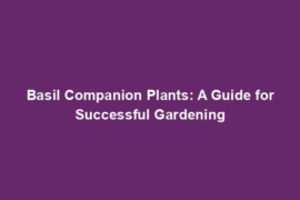 Basil Companion Plants: A Guide for Successful Gardening