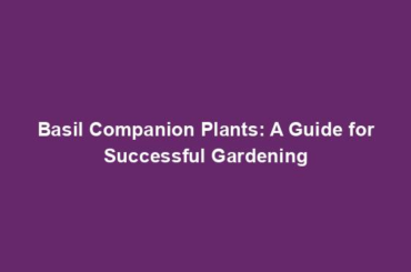 Basil Companion Plants: A Guide for Successful Gardening