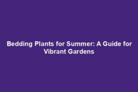 Bedding Plants for Summer: A Guide for Vibrant Gardens