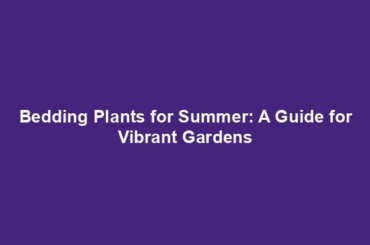 Bedding Plants for Summer: A Guide for Vibrant Gardens