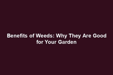 Benefits of Weeds: Why They Are Good for Your Garden