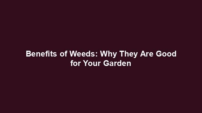 Benefits of Weeds: Why They Are Good for Your Garden