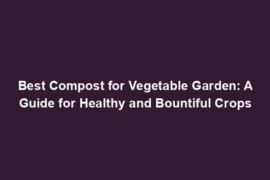 Best Compost for Vegetable Garden: A Guide for Healthy and Bountiful Crops