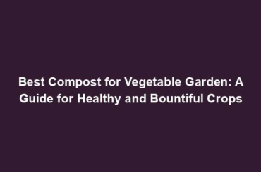 Best Compost for Vegetable Garden: A Guide for Healthy and Bountiful Crops