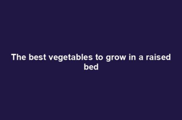 The best vegetables to grow in a raised bed