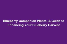 Blueberry Companion Plants: A Guide to Enhancing Your Blueberry Harvest