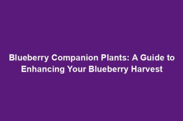 Blueberry Companion Plants: A Guide to Enhancing Your Blueberry Harvest