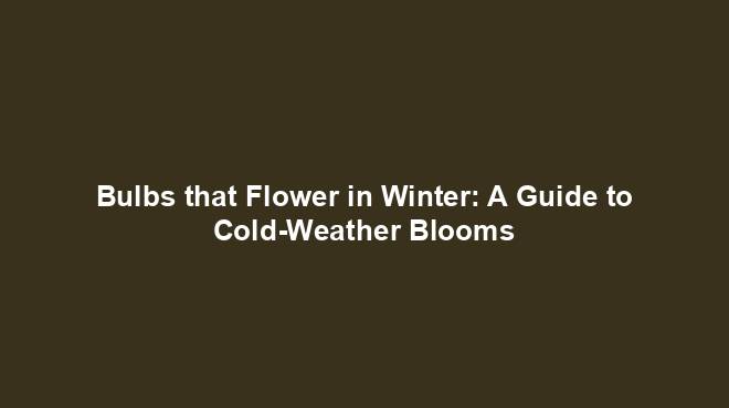 Bulbs that Flower in Winter: A Guide to Cold-Weather Blooms