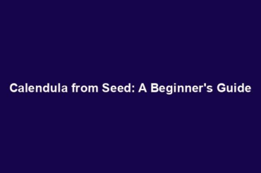 Calendula from Seed: A Beginner's Guide