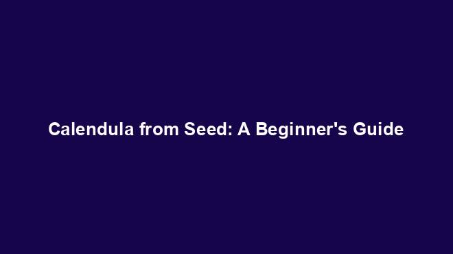 Calendula from Seed: A Beginner's Guide