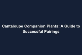 Cantaloupe Companion Plants: A Guide to Successful Pairings