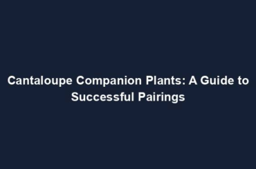 Cantaloupe Companion Plants: A Guide to Successful Pairings