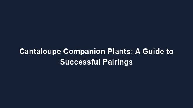 Cantaloupe Companion Plants: A Guide to Successful Pairings