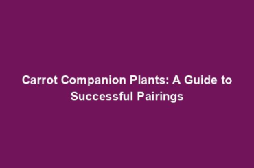 Carrot Companion Plants: A Guide to Successful Pairings