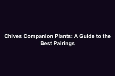 Chives Companion Plants: A Guide to the Best Pairings