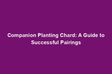 Companion Planting Chard: A Guide to Successful Pairings