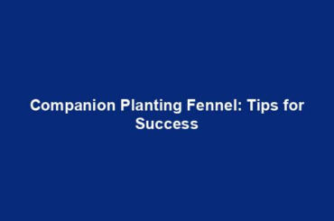 Companion Planting Fennel: Tips for Success