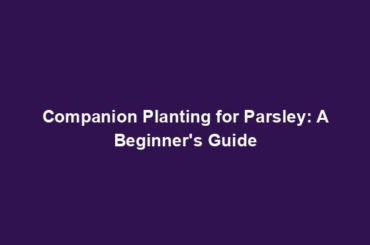 Companion Planting for Parsley: A Beginner's Guide