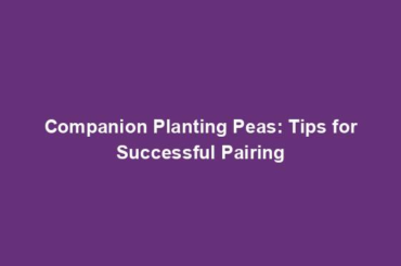 Companion Planting Peas: Tips for Successful Pairing