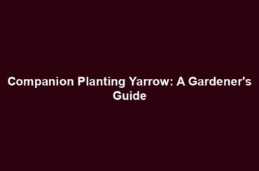 Companion Planting Yarrow: A Gardener's Guide