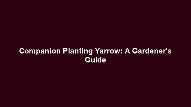 Companion Planting Yarrow: A Gardener's Guide