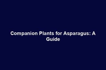 Companion Plants for Asparagus: A Guide