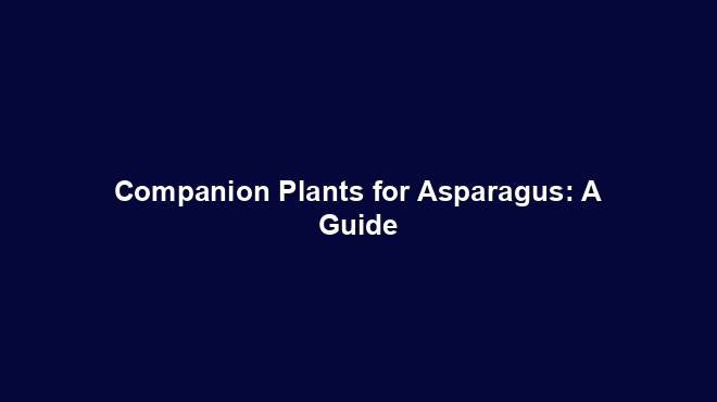 Companion Plants for Asparagus: A Guide