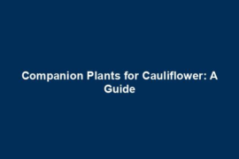 Companion Plants for Cauliflower: A Guide