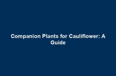 Companion Plants for Cauliflower: A Guide