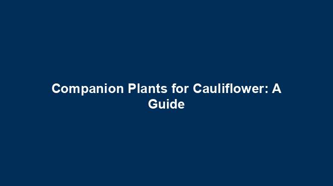Companion Plants for Cauliflower: A Guide