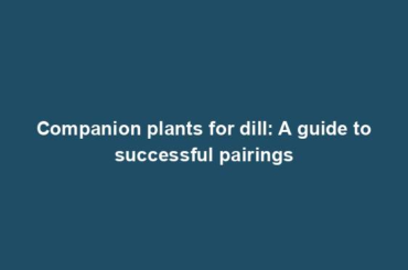 Companion plants for dill: A guide to successful pairings