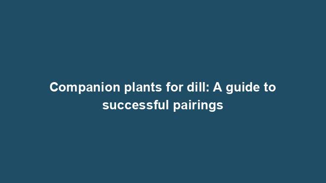 Companion plants for dill: A guide to successful pairings