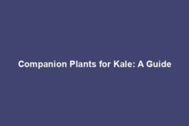 Companion Plants for Kale: A Guide