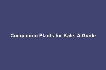 Companion Plants for Kale: A Guide