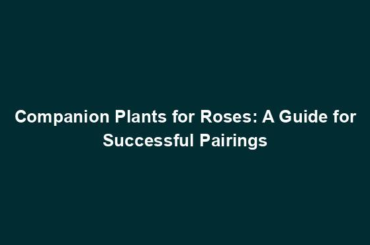 Companion Plants for Roses: A Guide for Successful Pairings