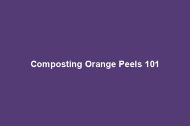 Composting Orange Peels 101