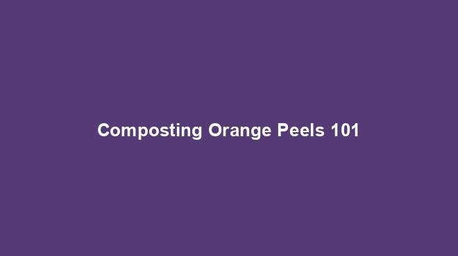 Composting Orange Peels 101