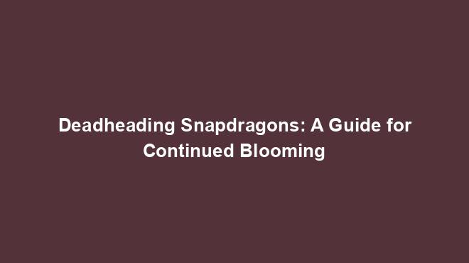 Deadheading Snapdragons: A Guide for Continued Blooming