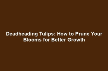 Deadheading Tulips: How to Prune Your Blooms for Better Growth