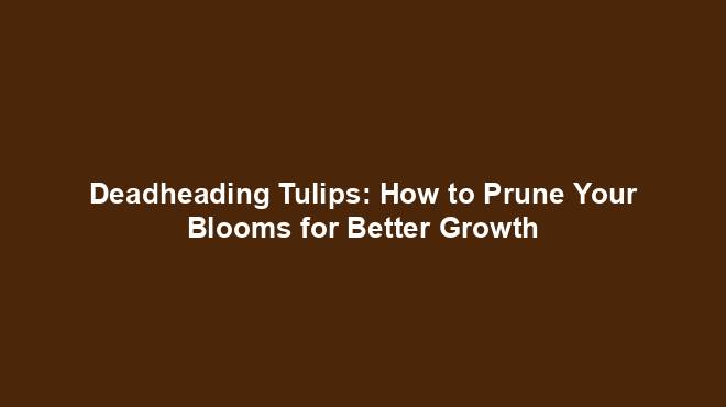 Deadheading Tulips: How to Prune Your Blooms for Better Growth