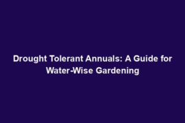 Drought Tolerant Annuals: A Guide for Water-Wise Gardening