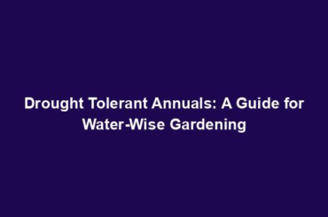 Drought Tolerant Annuals: A Guide for Water-Wise Gardening