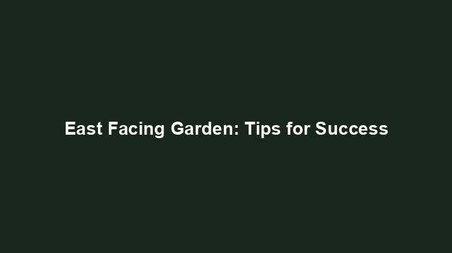 East Facing Garden: Tips for Success
