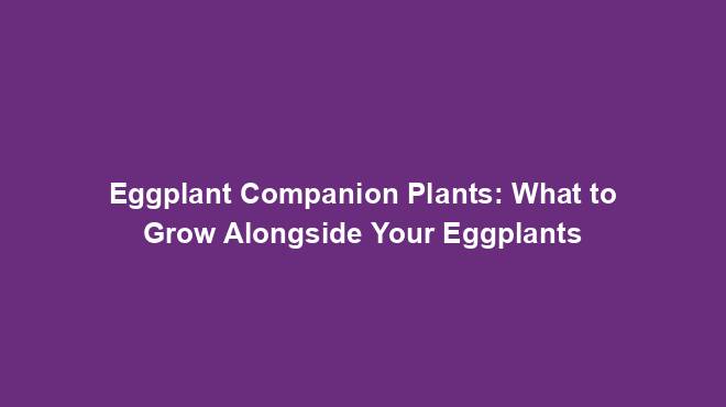 Eggplant Companion Plants: What to Grow Alongside Your Eggplants