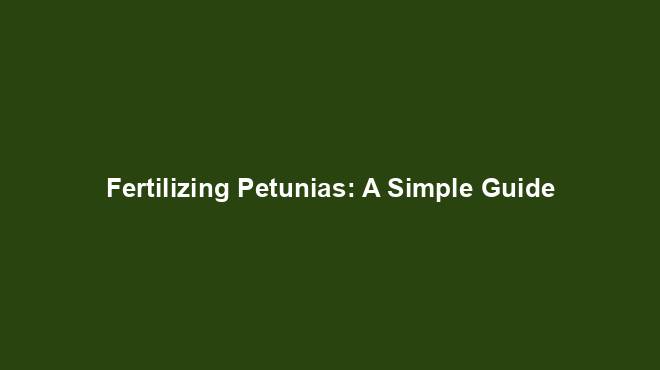 Fertilizing Petunias: A Simple Guide