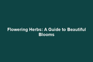 Flowering Herbs: A Guide to Beautiful Blooms